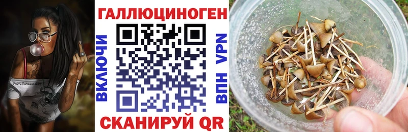 Купить  Тамбов  Галлюциногенные грибы Cubensis 